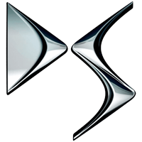 دی اس